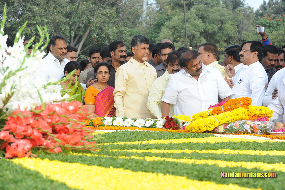 NTR_Vardhanthi_2014__104.jpg