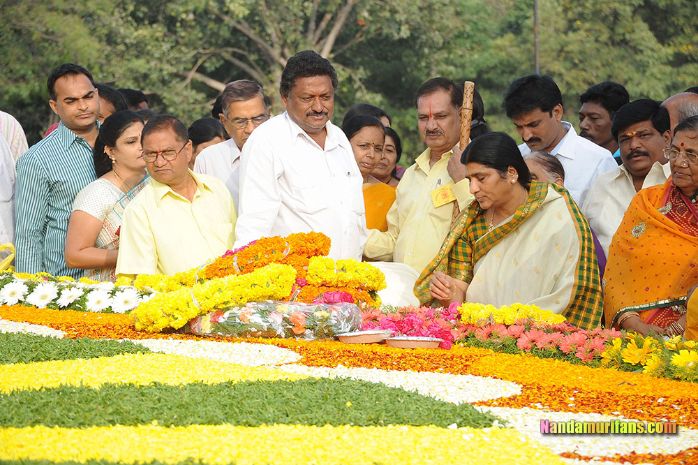 NTR_Vardhanthi_2014__127.jpg