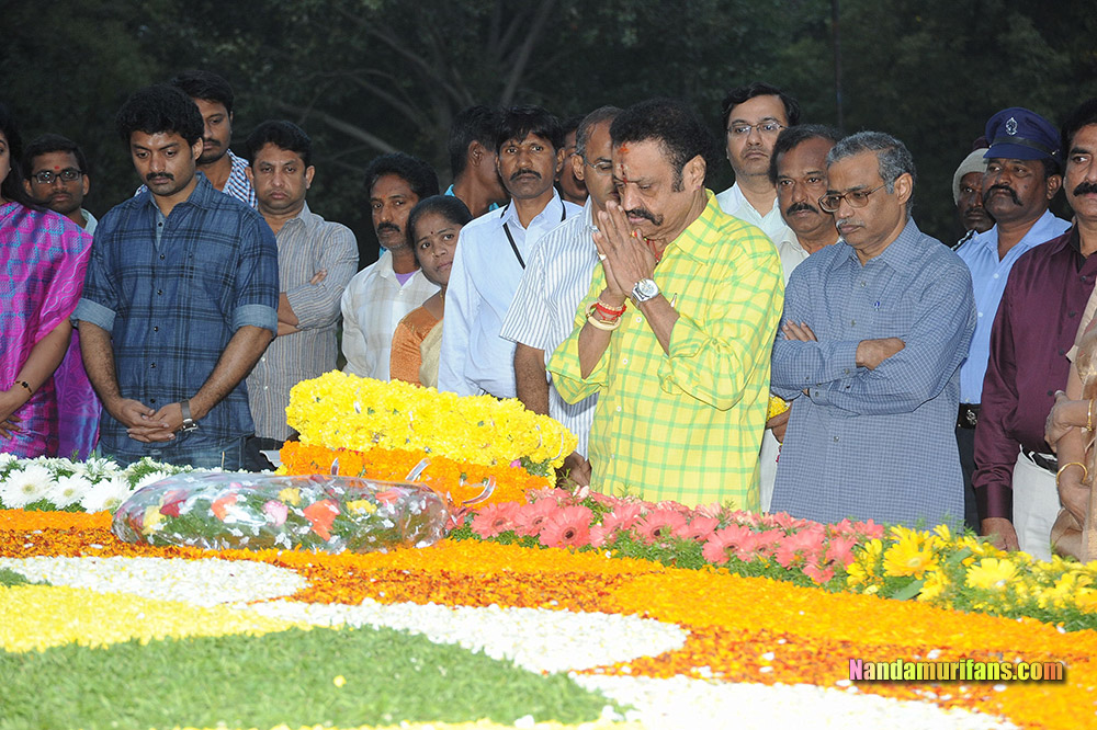 NTR_Vardhanthi_2014__194.jpg