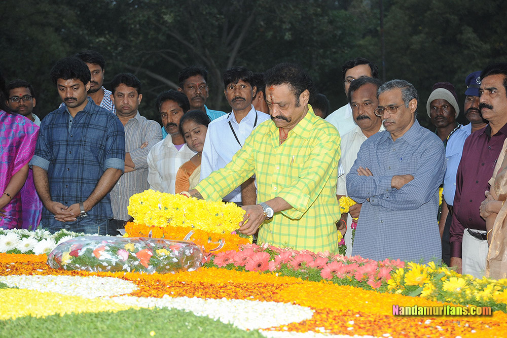 NTR_Vardhanthi_2014__195.jpg