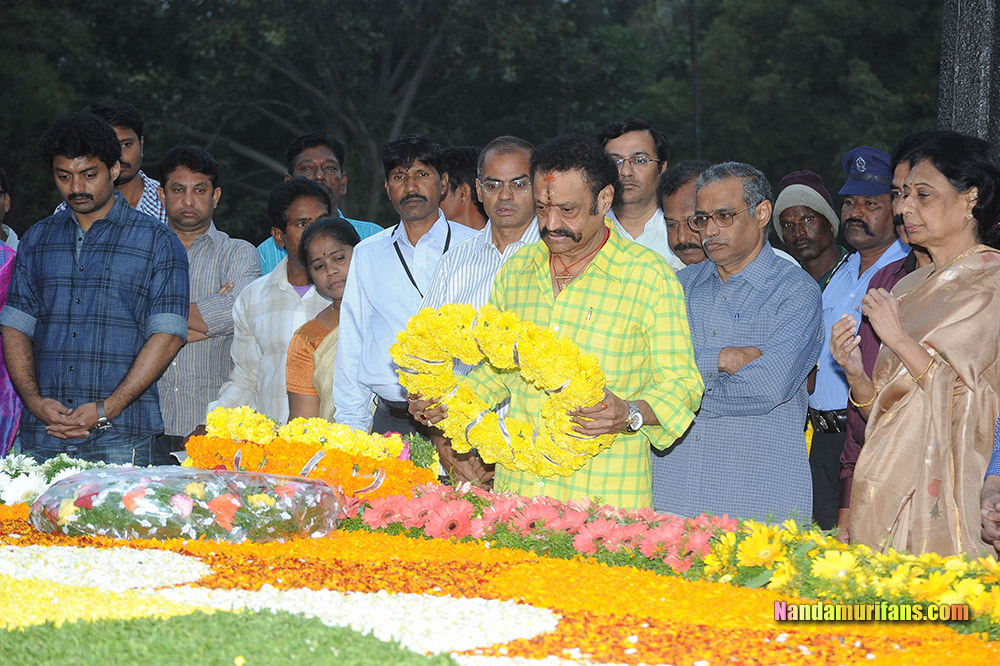 NTR_Vardhanthi_2014__196.jpg