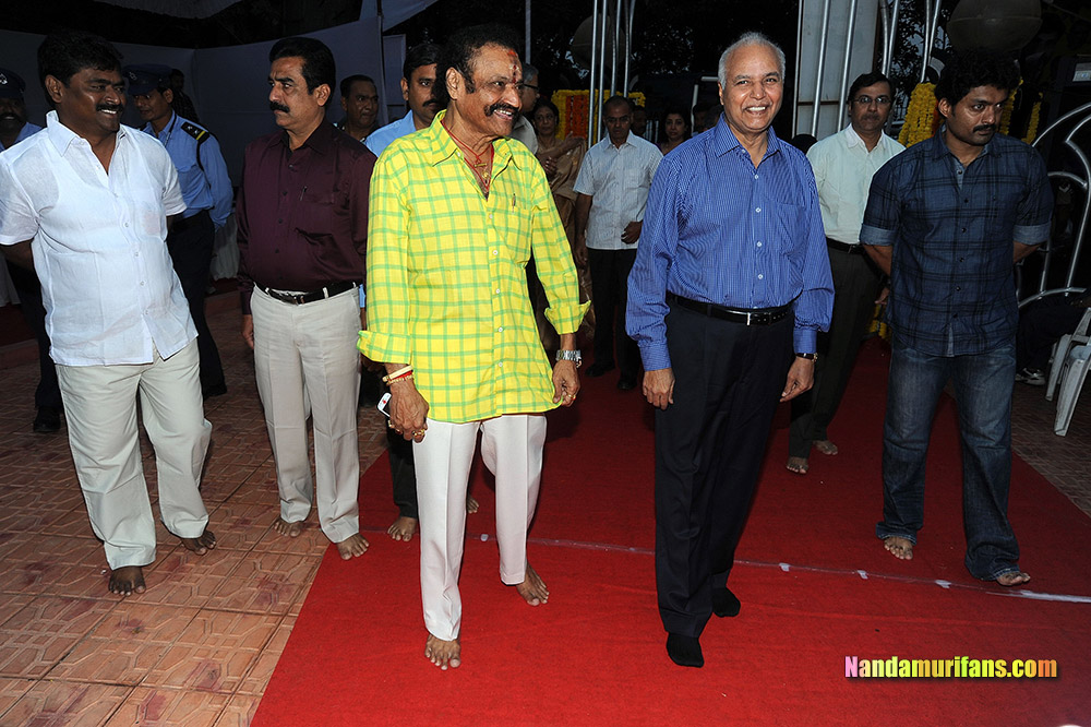 NTR_Vardhanthi_2014__216.jpg
