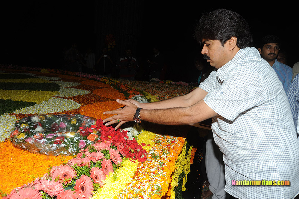 NTR_Vardhanthi_2014__235.jpg