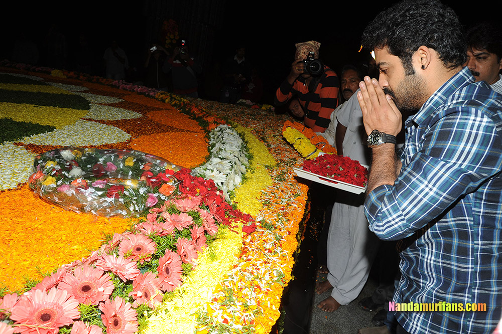 NTR_Vardhanthi_2014__238.jpg