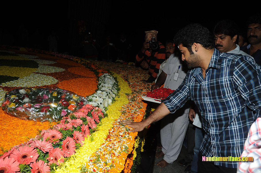 NTR_Vardhanthi_2014__240.jpg