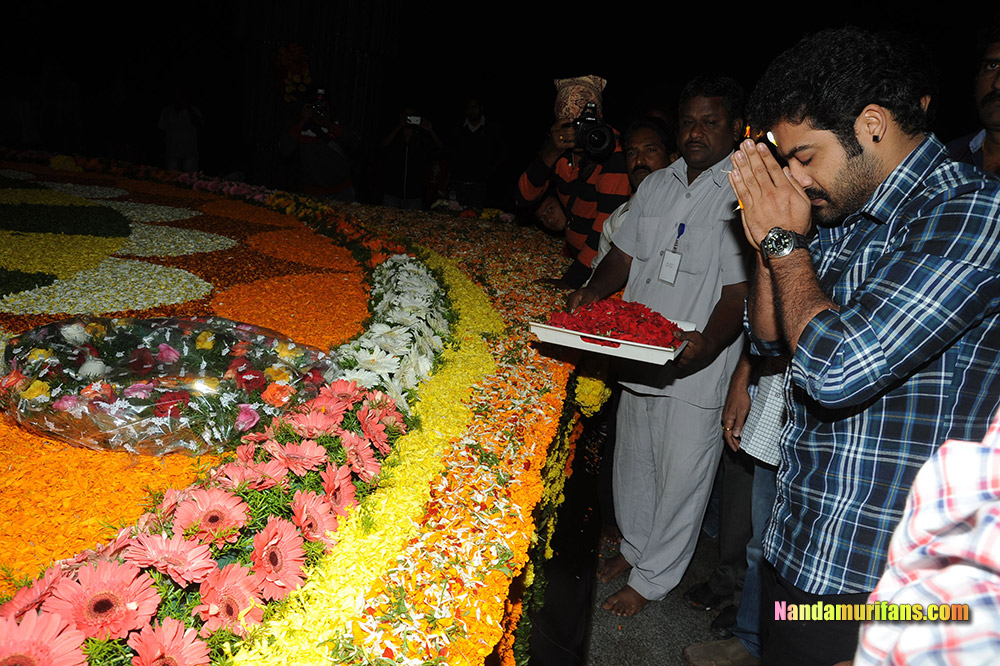 NTR_Vardhanthi_2014__241.jpg