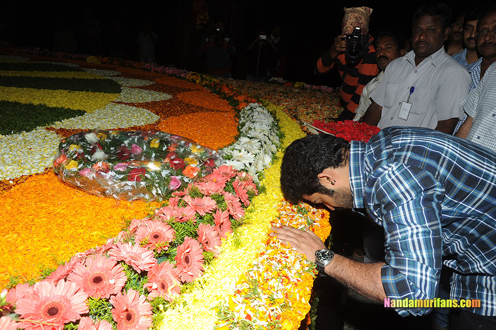 NTR_Vardhanthi_2014__243.jpg