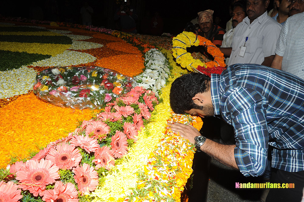 NTR_Vardhanthi_2014__244.jpg