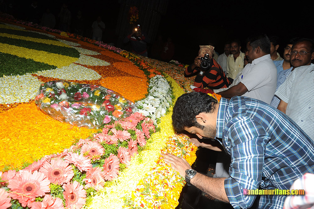 NTR_Vardhanthi_2014__245.jpg