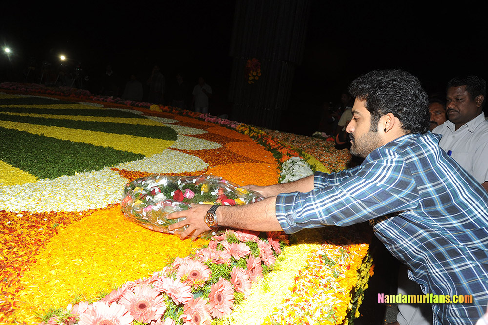 NTR_Vardhanthi_2014__246.jpg