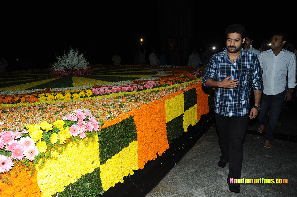 NTR_Vardhanthi_2014__248.jpg