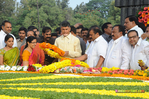 NTR_Vardhanthi_2014__103.jpg