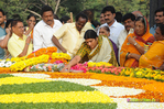 NTR_Vardhanthi_2014__126.jpg