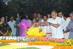 Filename=NTR_Vardhanthi_2014__188.jpg
Filesize=276KiB
Dimensions=1000x666
Date added=Apr 03, 2014 NTR_Vardhanthi_2014__188.jpg