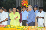 Filename=NTR_Vardhanthi_2014__189.jpg
Filesize=294KiB
Dimensions=1000x666
Date added=Apr 03, 2014 NTR_Vardhanthi_2014__189.jpg