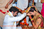 Filename=NTR_Wedding_163.jpg
Filesize=389KiB
Dimensions=1000x664
Date added=Apr 03, 2014 NTR_Wedding_163.jpg
