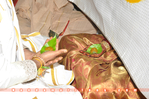 Filename=NTR_Wedding_176.jpg
Filesize=283KiB
Dimensions=1000x664
Date added=Apr 03, 2014 NTR_Wedding_176.jpg