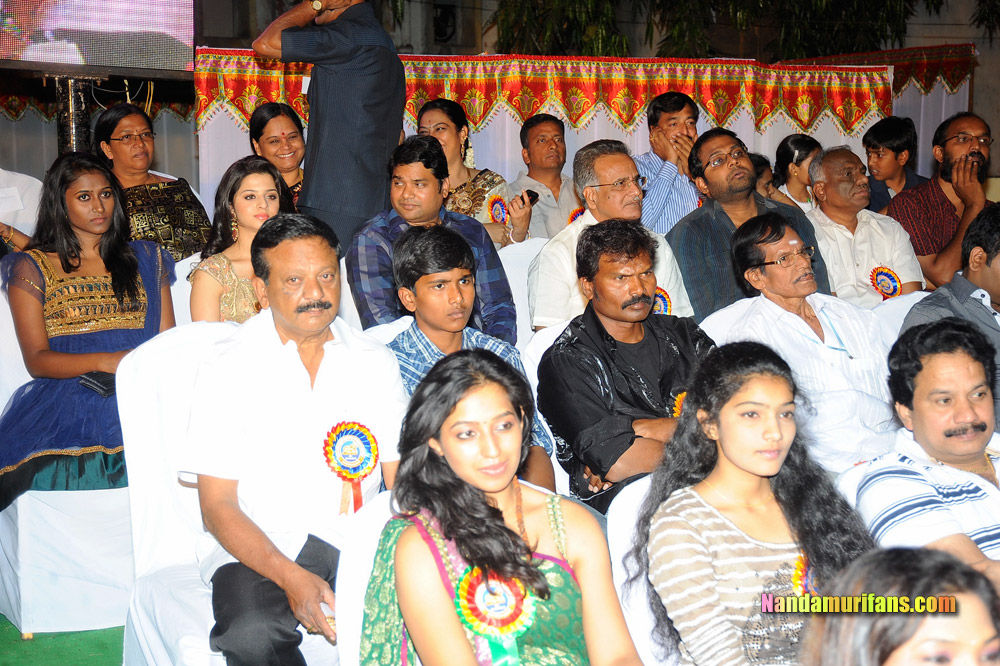 Nandi-200910-153.jpg