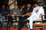 Nandi-200910-154.jpg