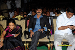 Nandi-200910-163.jpg
