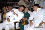 Nandi-200910-167.jpg