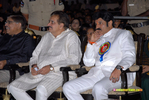 Nandi-200910-172.jpg