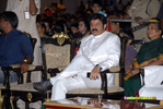 Nandi-200910-184.jpg