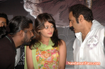 Filename=NMT-Audio-048.jpg
Filesize=121KiB
Dimensions=700x465
Date added=Apr 04, 2014 NMT-Audio-048.jpg