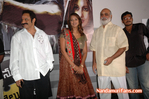 Filename=NMT-Audio-087.jpg
Filesize=108KiB
Dimensions=700x465
Date added=Apr 04, 2014 NMT-Audio-087.jpg
