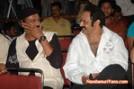Filename=NMT-Audio-092.jpg
Filesize=119KiB
Dimensions=700x465
Date added=Apr 04, 2014 NMT-Audio-092.jpg