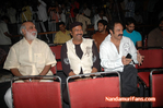 Filename=NMT-Audio-101.jpg
Filesize=125KiB
Dimensions=700x465
Date added=Apr 04, 2014 NMT-Audio-101.jpg