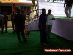 Filename=100_7611-01.jpg
Filesize=63KiB
Dimensions=677x508
Date added=Apr 04, 2014 100_7611-01.jpg