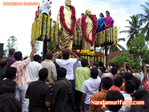 Filename=100_7660-01.jpg
Filesize=119KiB
Dimensions=677x508
Date added=Apr 04, 2014 100_7660-01.jpg