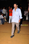 Filename=OM_Audio_023.jpg
Filesize=279KiB
Dimensions=800x1204
Date added=Apr 03, 2014 OM_Audio_023.jpg