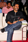 Filename=OM_Audio_042.jpg
Filesize=330KiB
Dimensions=800x1204
Date added=Apr 03, 2014 OM_Audio_042.jpg