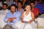 Filename=OM_Audio_051.jpg
Filesize=197KiB
Dimensions=1000x664
Date added=Apr 03, 2014 OM_Audio_051.jpg