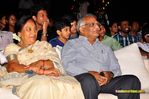 Filename=OM_Audio_155.jpg
Filesize=229KiB
Dimensions=1000x664
Date added=Apr 03, 2014 OM_Audio_155.jpg
