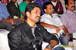 Filename=OM_Audio_165.jpg
Filesize=222KiB
Dimensions=1000x664
Date added=Apr 03, 2014 OM_Audio_165.jpg