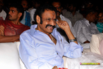 Filename=OM_Audio_174.jpg
Filesize=182KiB
Dimensions=1000x664
Date added=Apr 03, 2014 OM_Audio_174.jpg