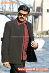 Filename=om_25.jpg
Filesize=330KiB
Dimensions=800x1203
Date added=Apr 04, 2014 om_25.jpg