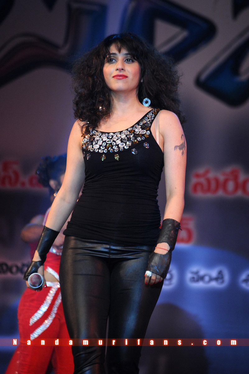Oosaravelli_Audio_030.jpg