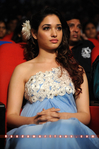 Filename=Oosaravelli_Audio_019.jpg
Filesize=203KiB
Dimensions=800x1202
Date added=Apr 03, 2014 Oosaravelli_Audio_019.jpg