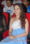 Filename=Oosaravelli_Audio_068.jpg
Filesize=260KiB
Dimensions=800x1192
Date added=Apr 03, 2014 Oosaravelli_Audio_068.jpg