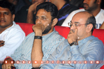 Filename=Oosaravelli_Audio_122.jpg
Filesize=127KiB
Dimensions=800x532
Date added=Apr 03, 2014 Oosaravelli_Audio_122.jpg