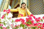Filename=Pandurangadu_035.jpg
Filesize=264KiB
Dimensions=750x499
Date added=Apr 04, 2014 Pandurangadu_035.jpg