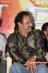 Filename=Pandurangadu-Platinum034.jpg
Filesize=200KiB
Dimensions=600x903
Date added=Apr 04, 2014 Pandurangadu-Platinum034.jpg