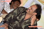 Filename=Pandurangadu-Platinum050.jpg
Filesize=133KiB
Dimensions=700x465
Date added=Apr 04, 2014 Pandurangadu-Platinum050.jpg
