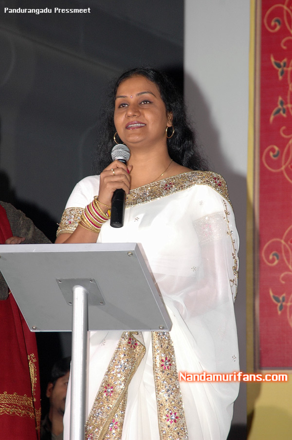 Pandurangadu-pressmeet-007.jpg