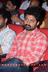 Filename=Pvc_Audio_085.jpg
Filesize=272KiB
Dimensions=700x1054
Date added=Apr 04, 2014 Pvc_Audio_085.jpg