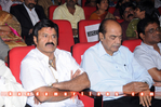 Filename=Pvc_Audio_134.jpg
Filesize=147KiB
Dimensions=800x531
Date added=Apr 04, 2014 Pvc_Audio_134.jpg